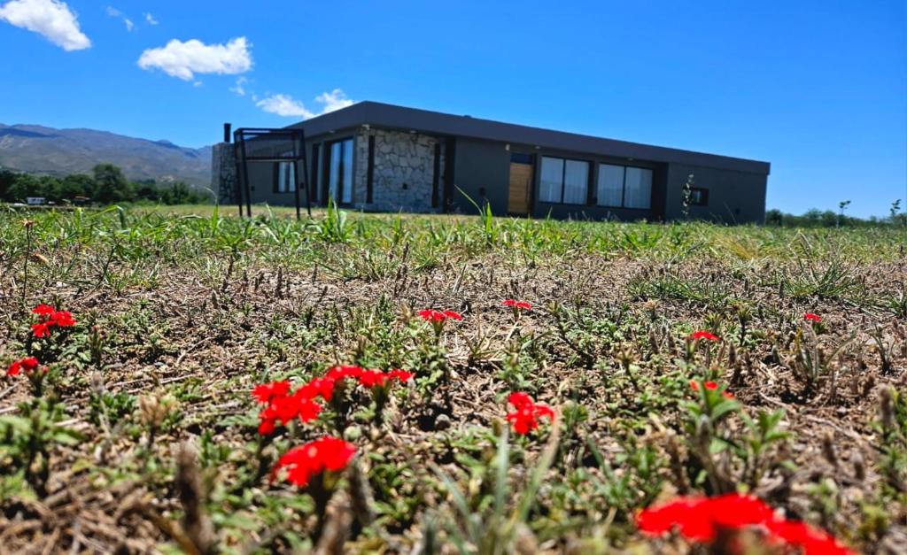 CASA U (EL AMPARO)