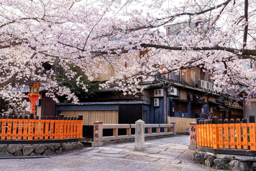 OMO5 Kyoto Gion by Hoshino Resorts photo 1