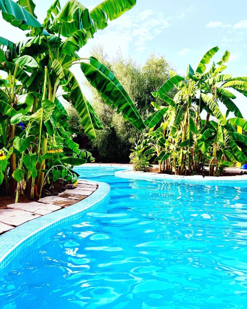 Le Domaine de Carole Marrakech photo 1