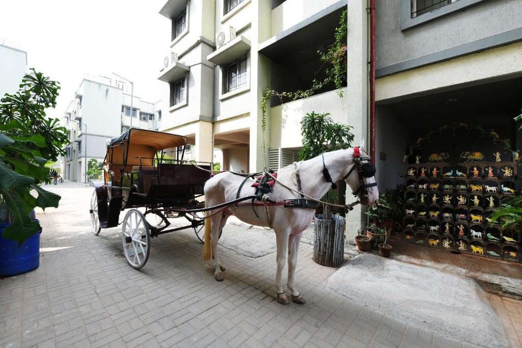 Bliss Serviced Apartments photo 4