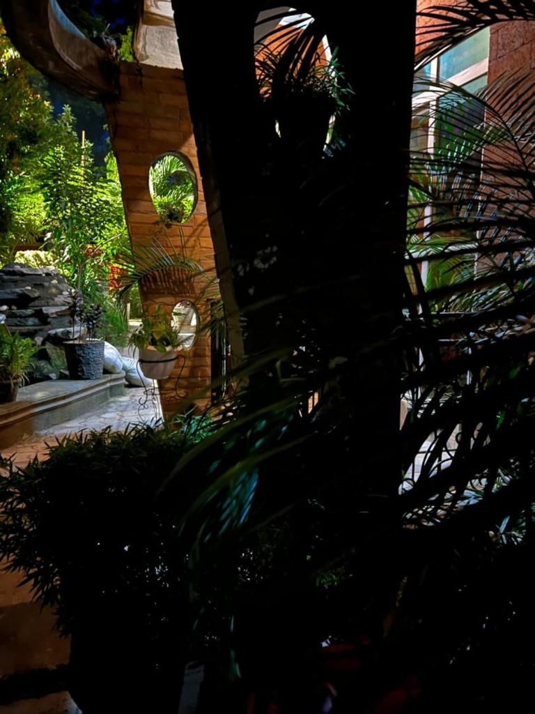 Green Villa Apartments photo 4