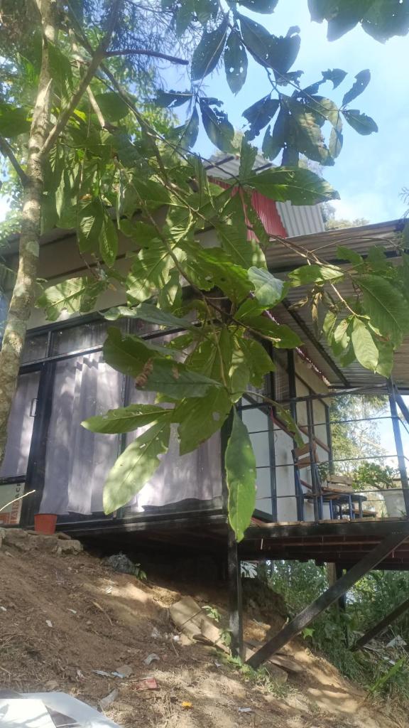 Doko Resort, Kanyam photo 1