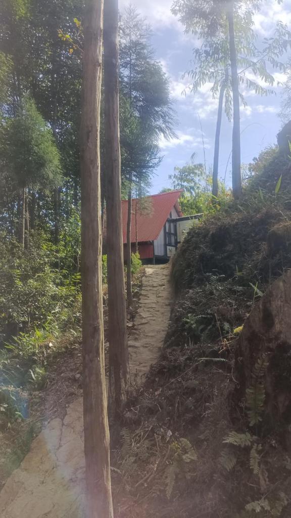 Doko Resort, Kanyam photo 4