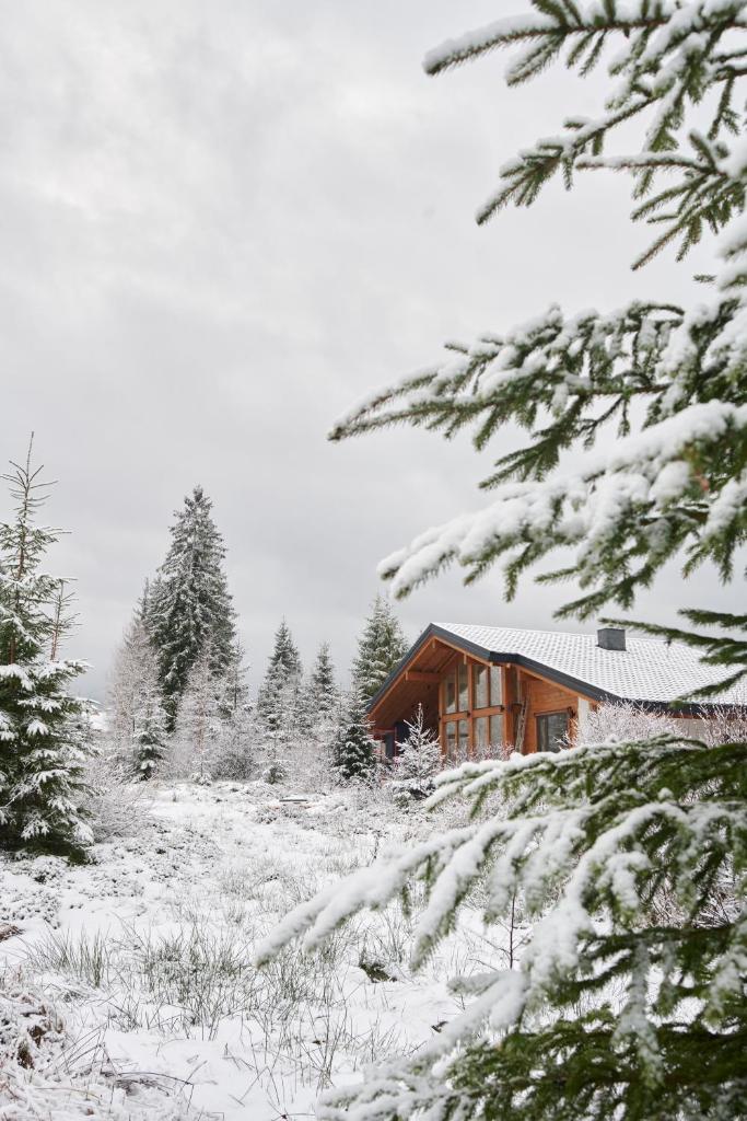 MOKHY Chalet & Nature photo 4