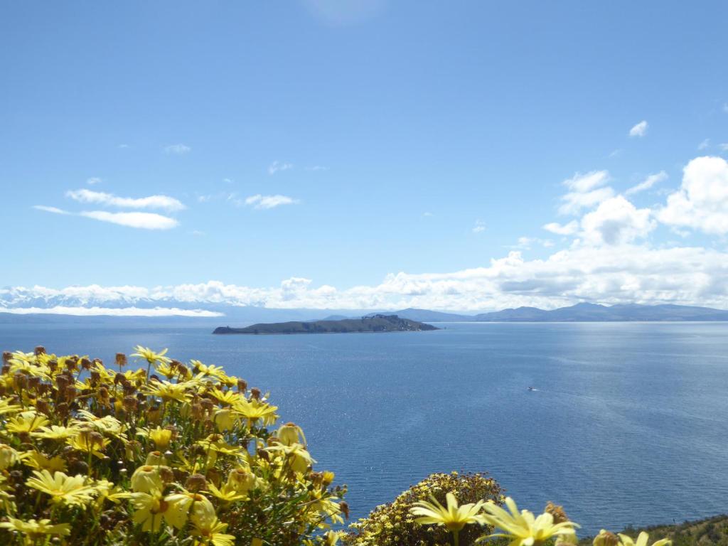 CAMPO SANTO photo 3