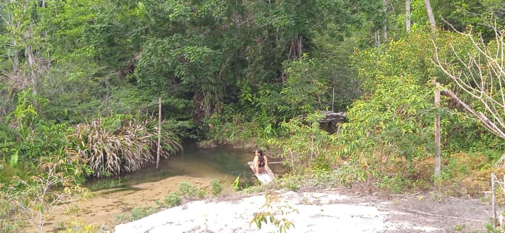 Private Beach Jungle Cabañas photo 1