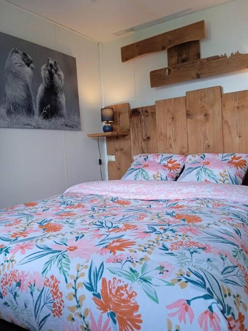 Charmante location Hauts d'Evian photo 2