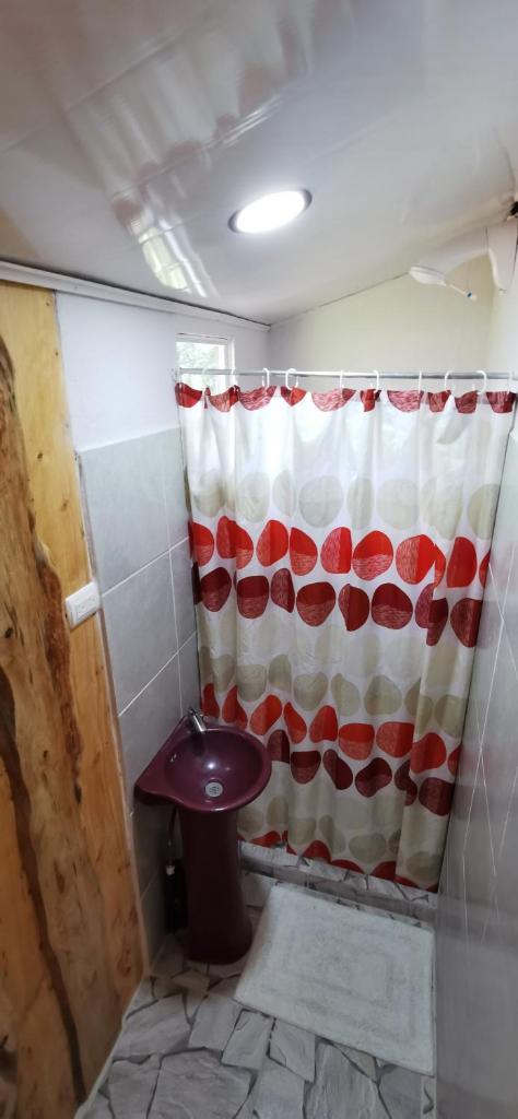 Mora's Place B&B photo 4