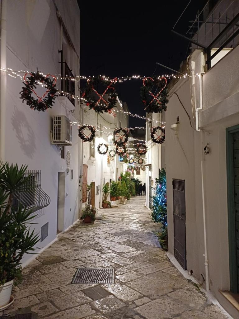 Antoniette-DimorePugliesi photo 2