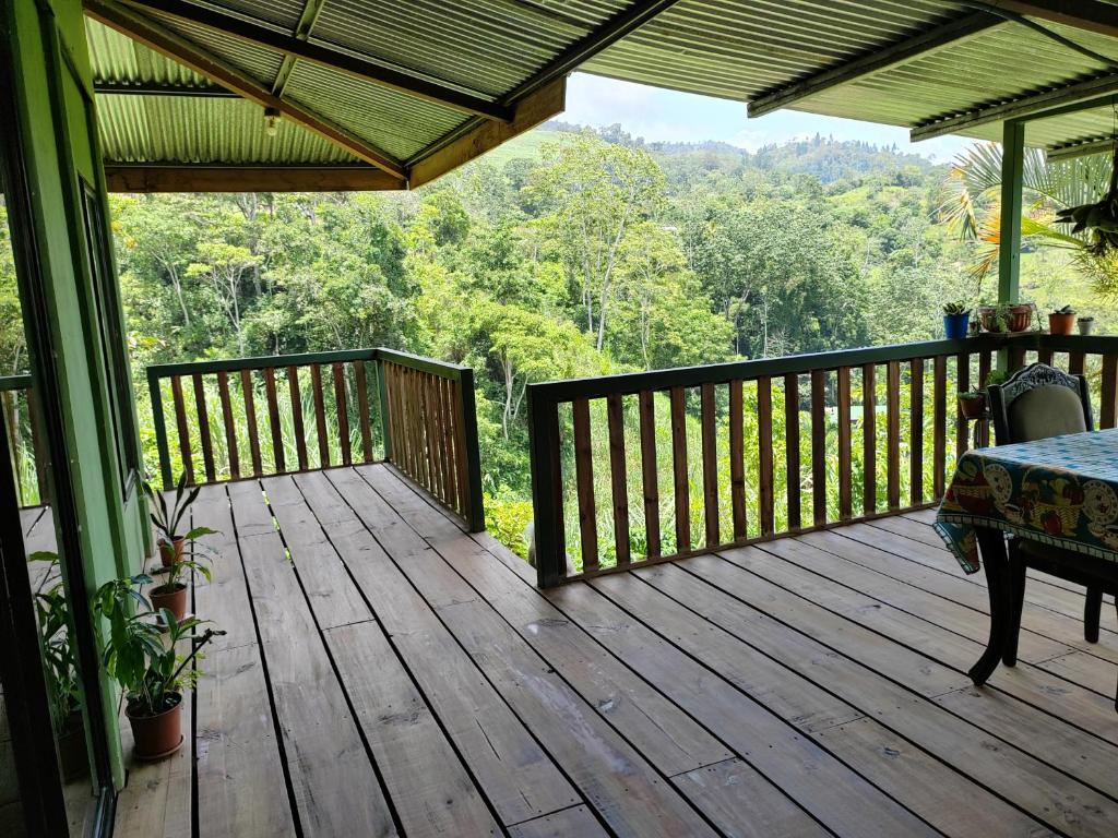 Bella Vista Guest house photo 1