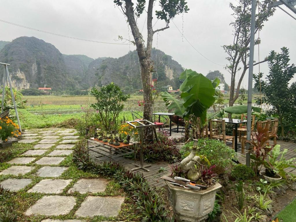 Tam Coc Mountain View Homestay