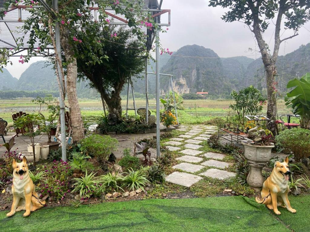 Tam Coc Mountain View Homestay