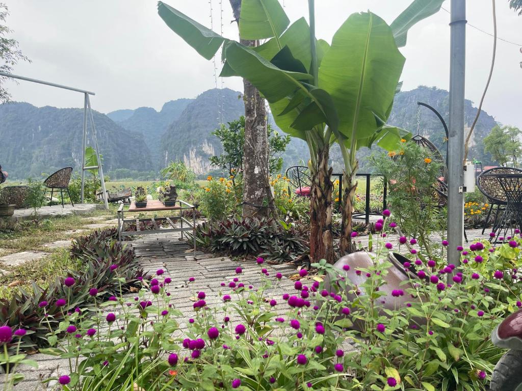 Tam Coc Mountain View Homestay