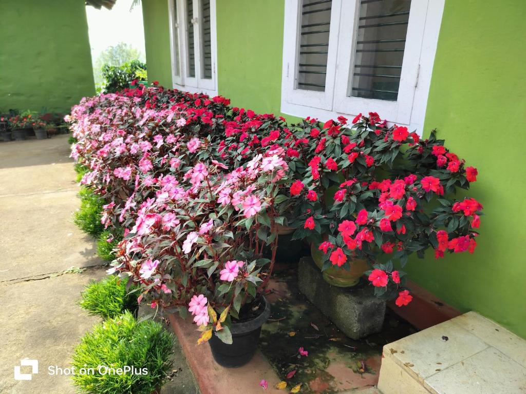 Praplia Homestay Ammathi,coorg photo 3