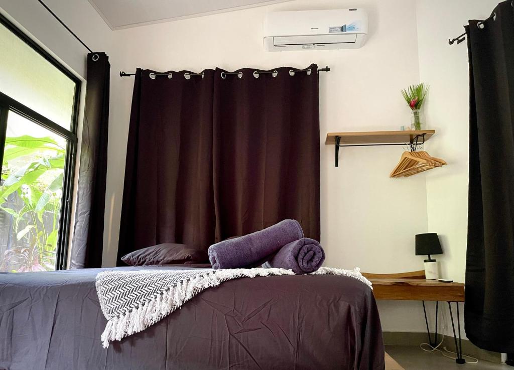 Casa Eden - Modern Peaceful Jungle Apartments photo 4