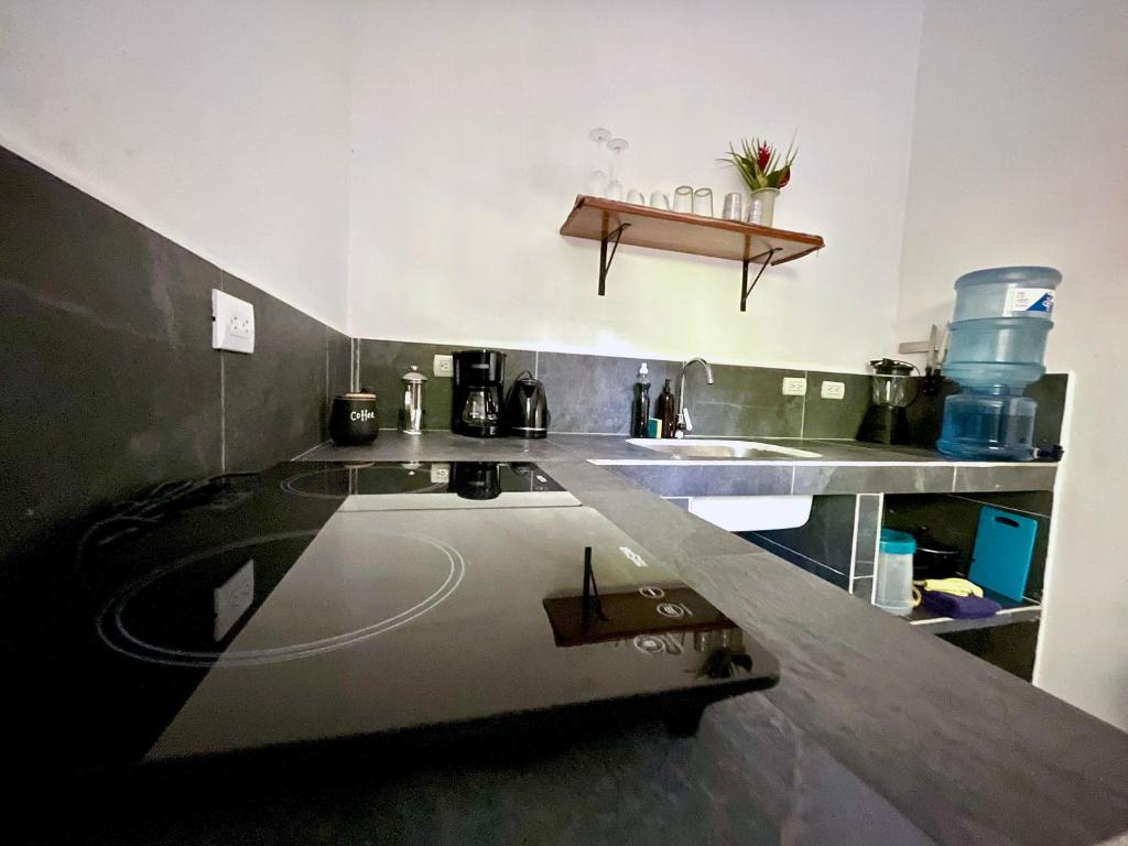 Casa Eden - Modern Peaceful Jungle Apartments photo 2