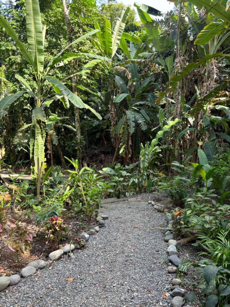Casa Eden - Modern Peaceful Jungle Apartments photo 1