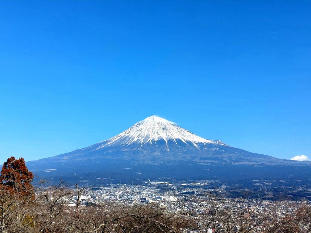 SHINGEN-no-Yu Yumura Onsen TOKIWA HOTEL photo 3