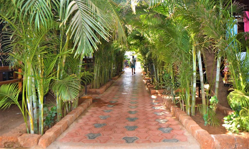 Agonda Sun Set photo 4