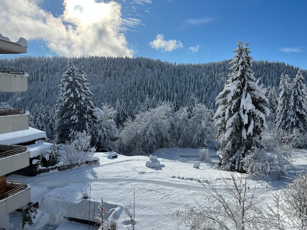 Hotel Haus am Waldrand photo 2