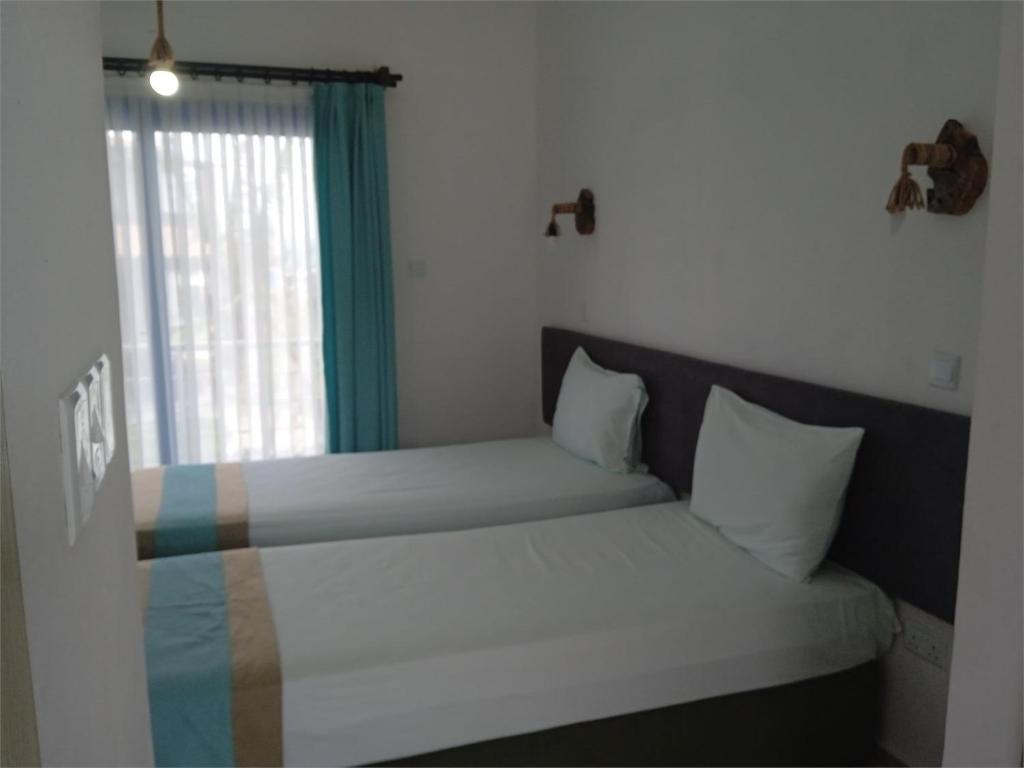 Ardic Agaci holiday village photo 4