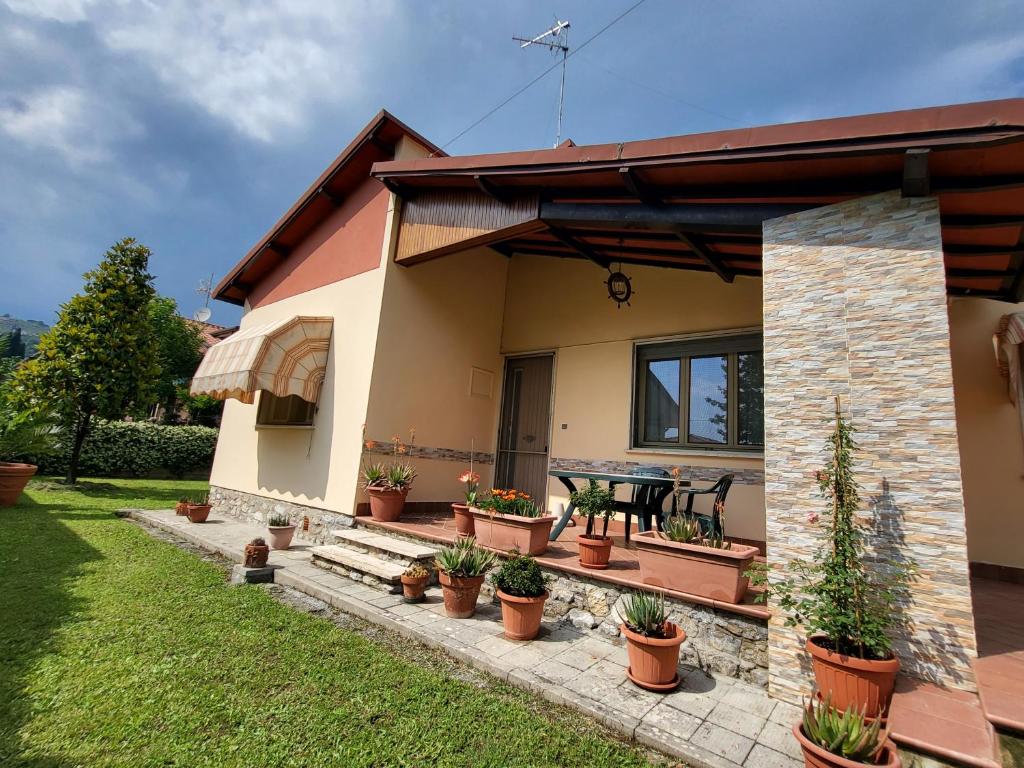 The House of Citrus - amazing country house near Viareggio and Lucca