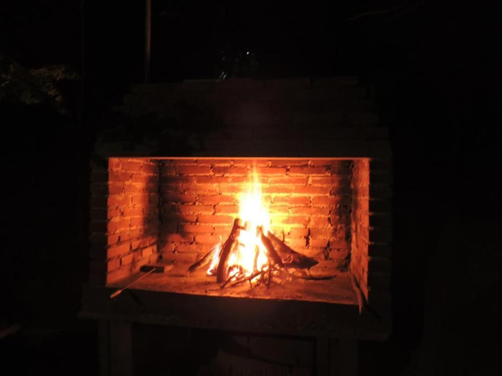 Bosquesito del rio photo 3