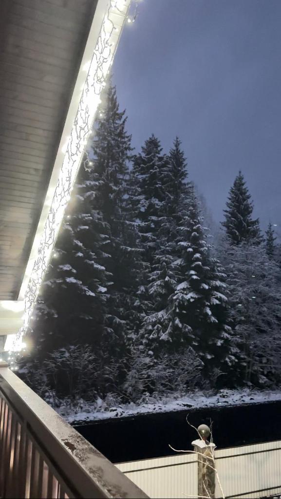 Chalet Galicia photo 3