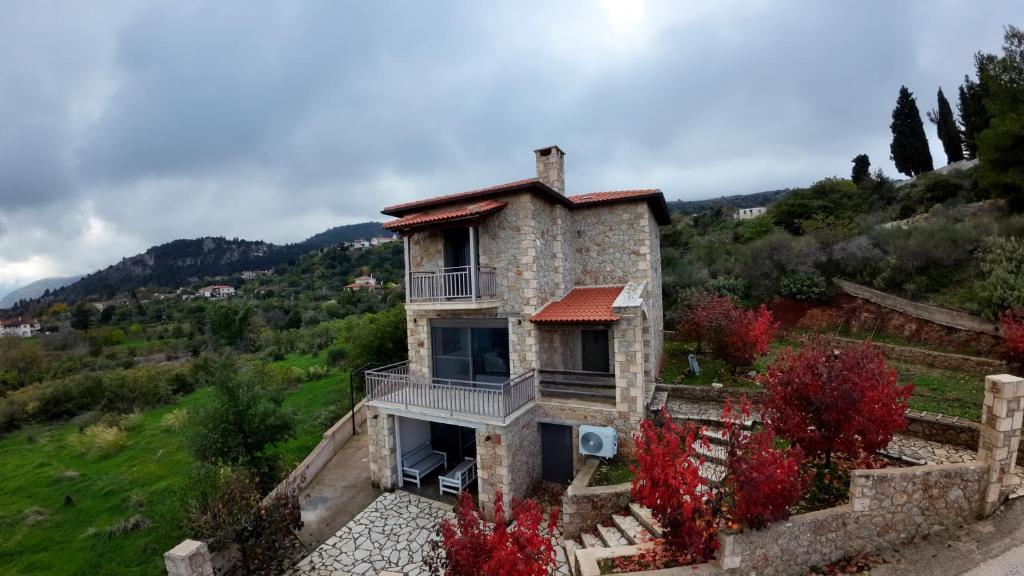 Konstantina photo 3