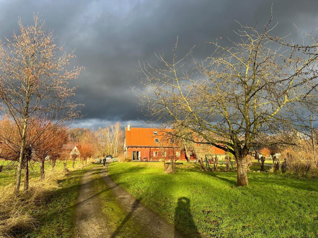 Liljas Haus im Spreewald photo 2