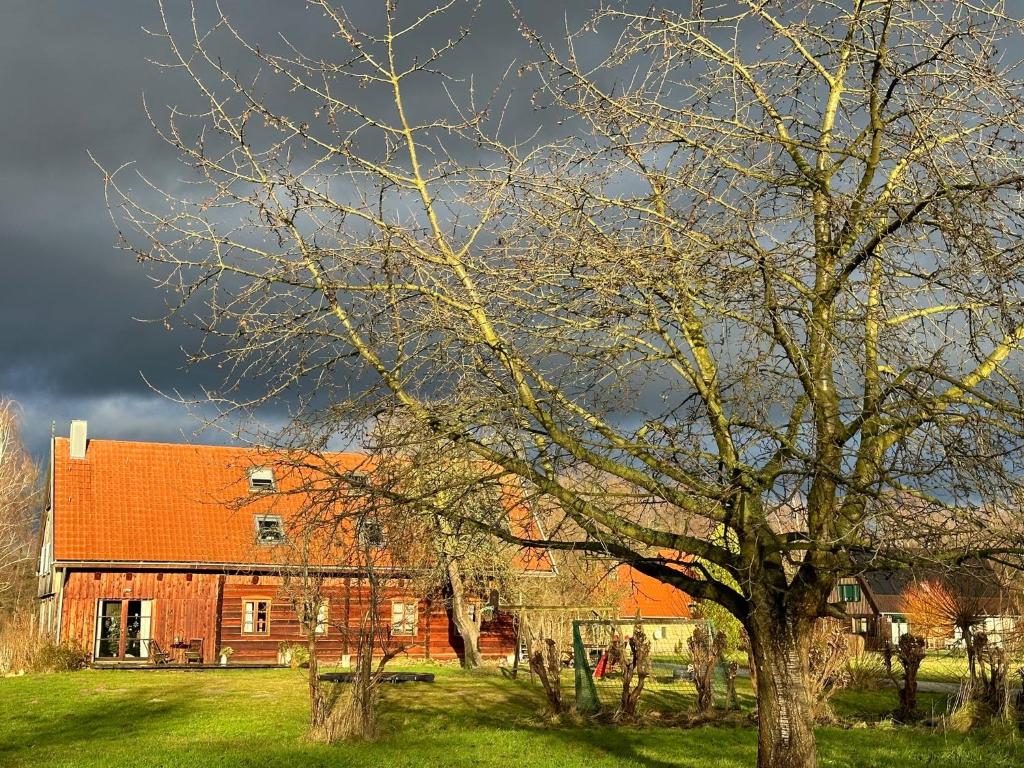Liljas Haus im Spreewald photo 1