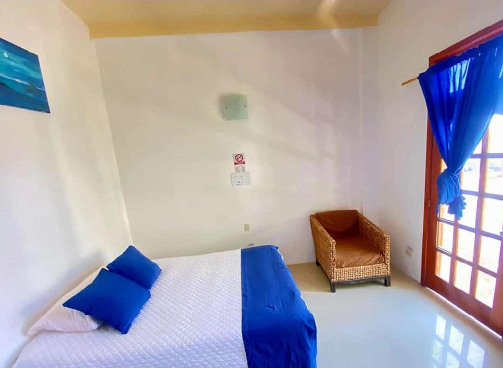 HOSPEDAJE DELFIN AZUL photo 3