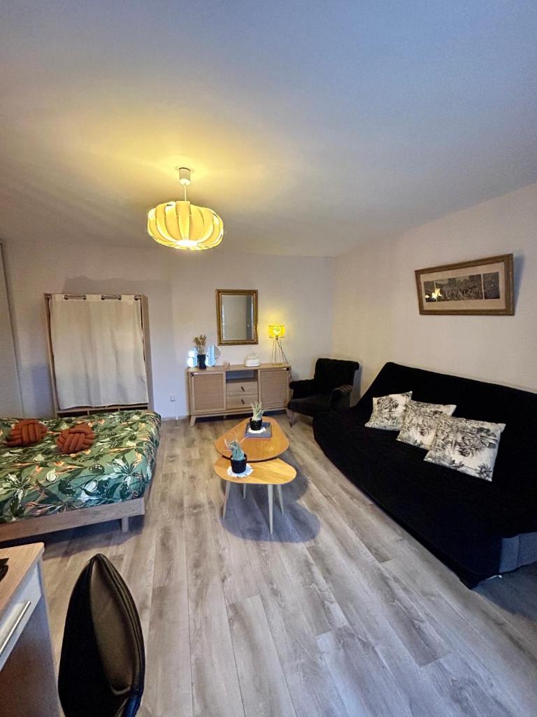 Charmant studio de 50 m2 photo 3
