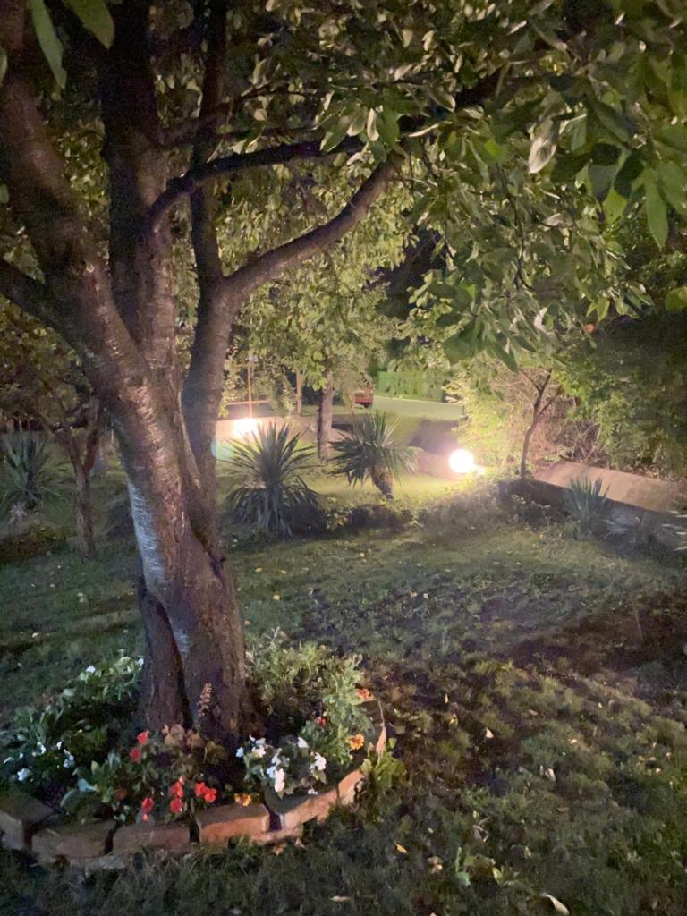 Broj jedan photo 1
