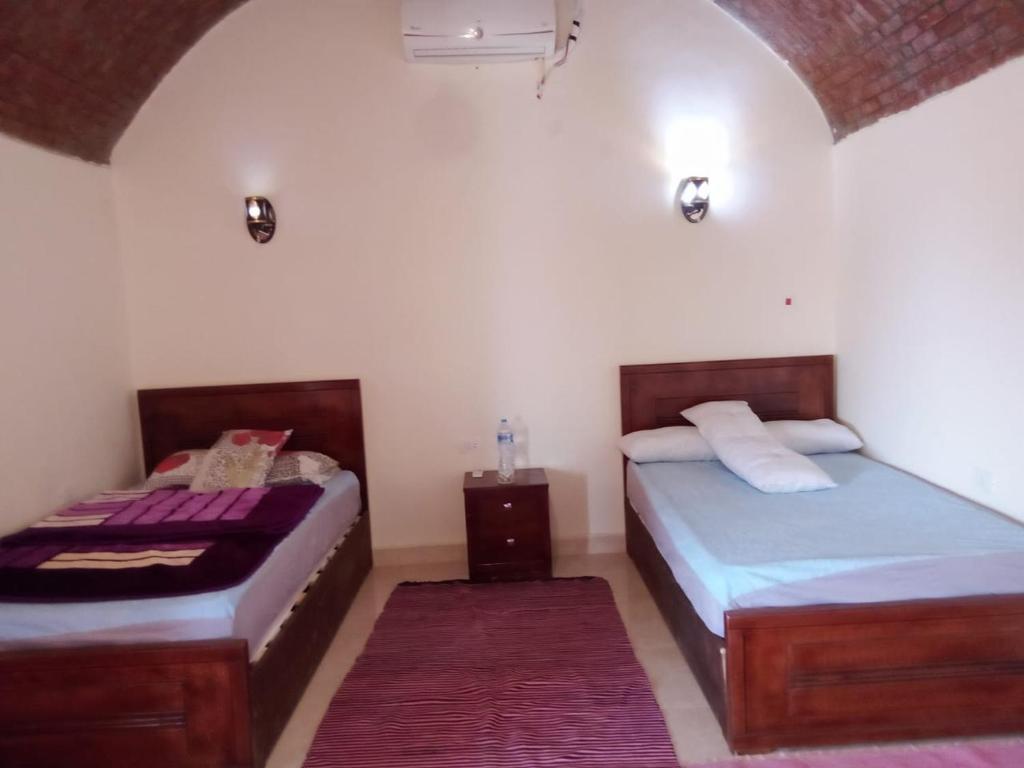 انتيكا كامب photo 3