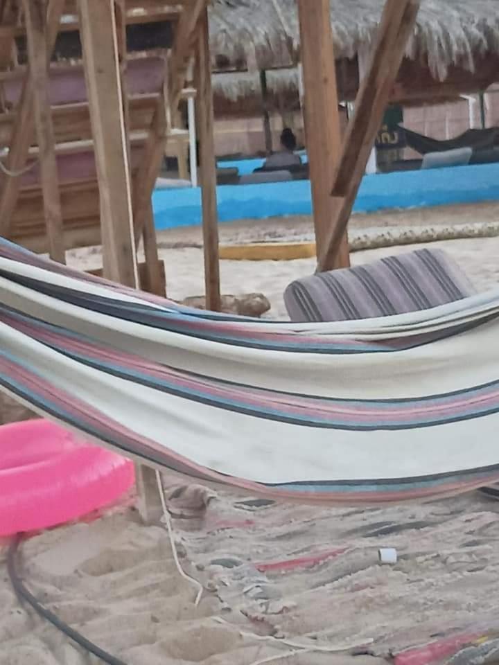 انتيكا كامب photo 1