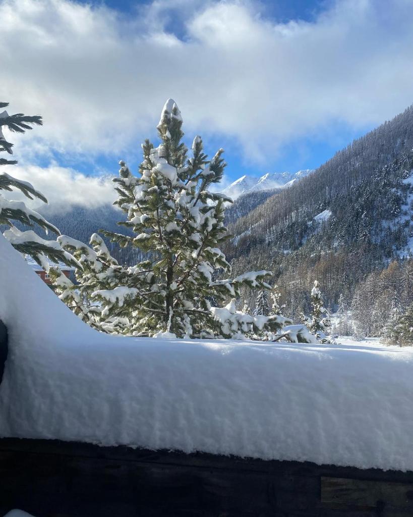 Le Chalet des Sommets photo 1