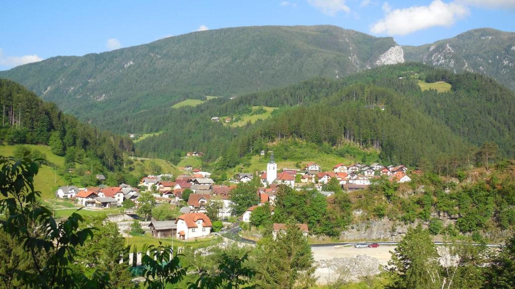 Apartments Savinja