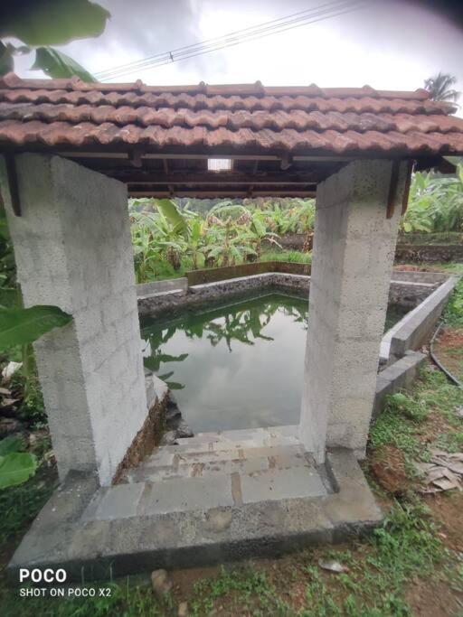 Paddy N Pond Tree house Villa 2R photo 3