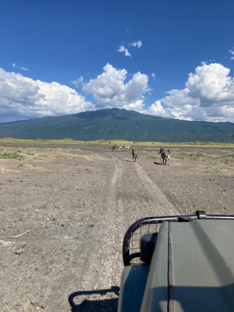 Lake Natron Maasai Guesthouse photo 4