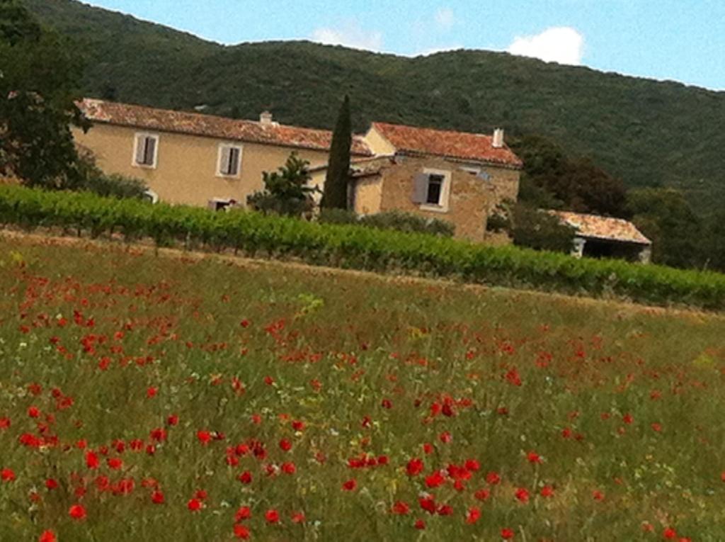 La Rivayne photo 4