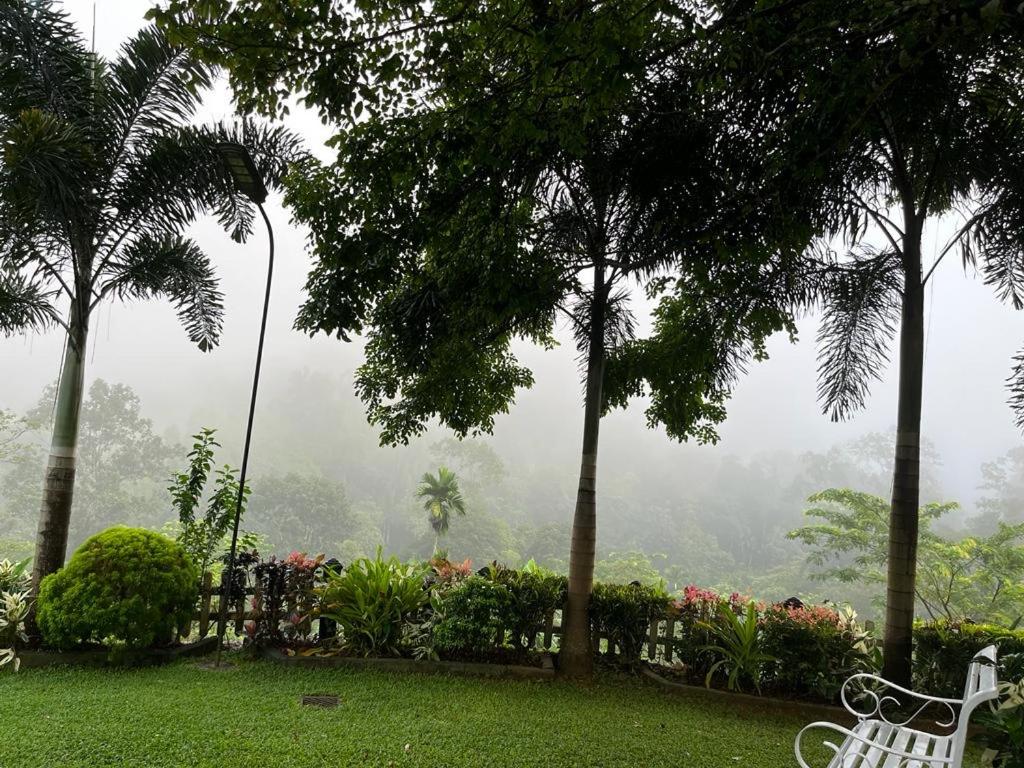 Estate Bungalow photo 2