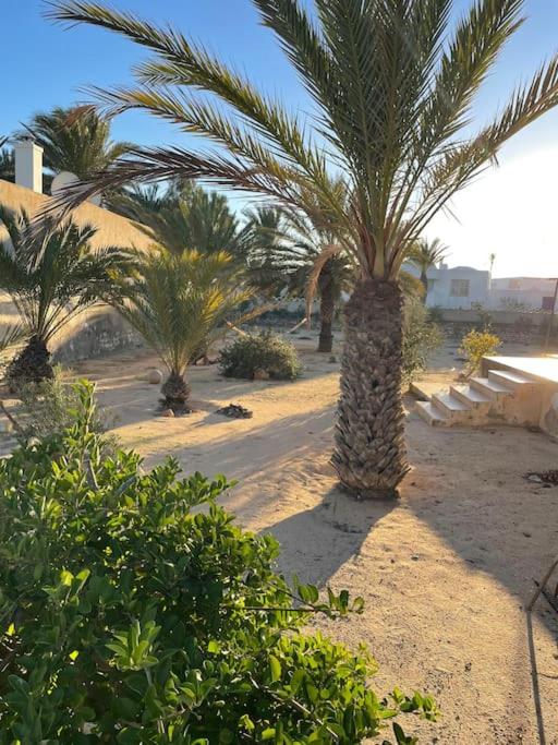 Dar Bolte Djerba photo 2