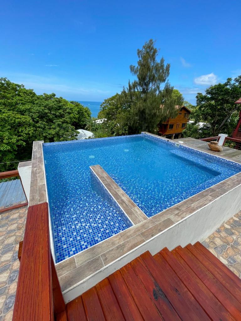 Villas De Cisnes Starfish or Anchor floors photo 3
