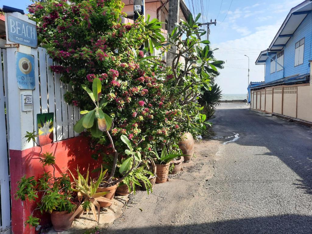 ThaiMex Cafe & Homestay Backpackers- Adults Only photo 4