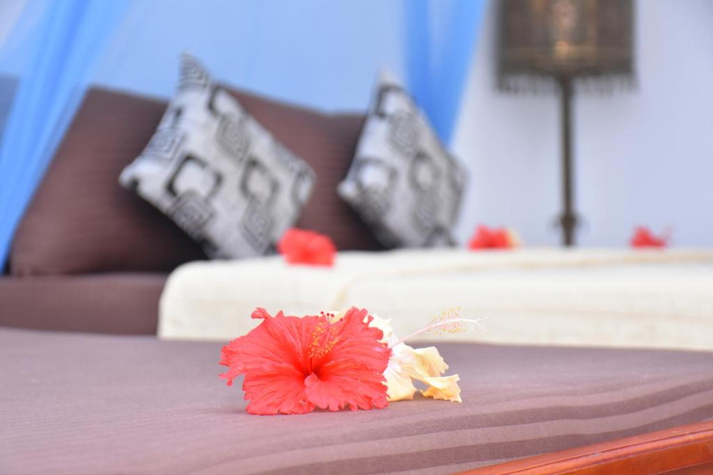 Rice Cabanas Yala photo 1