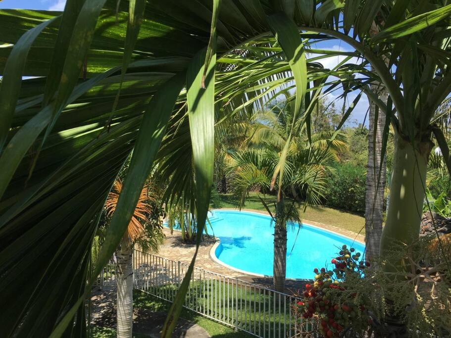 Studio piscine photo 3