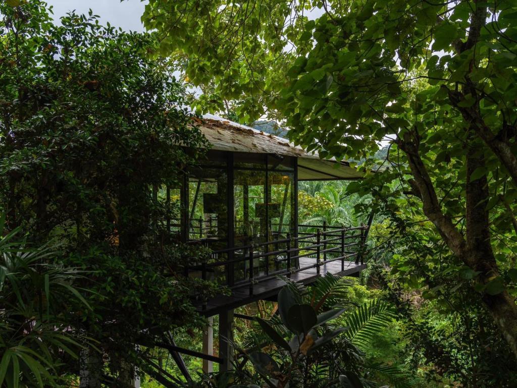 Kachonghills Tented Resort Trang photo 1