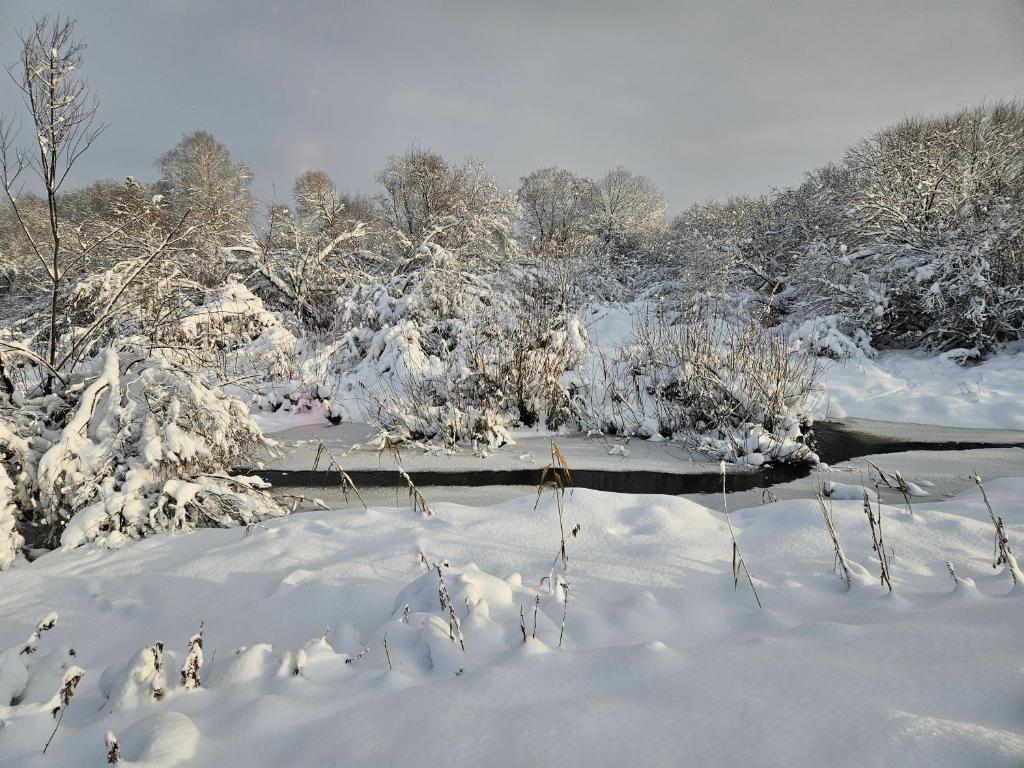 Jõesuu saunamaja photo 1