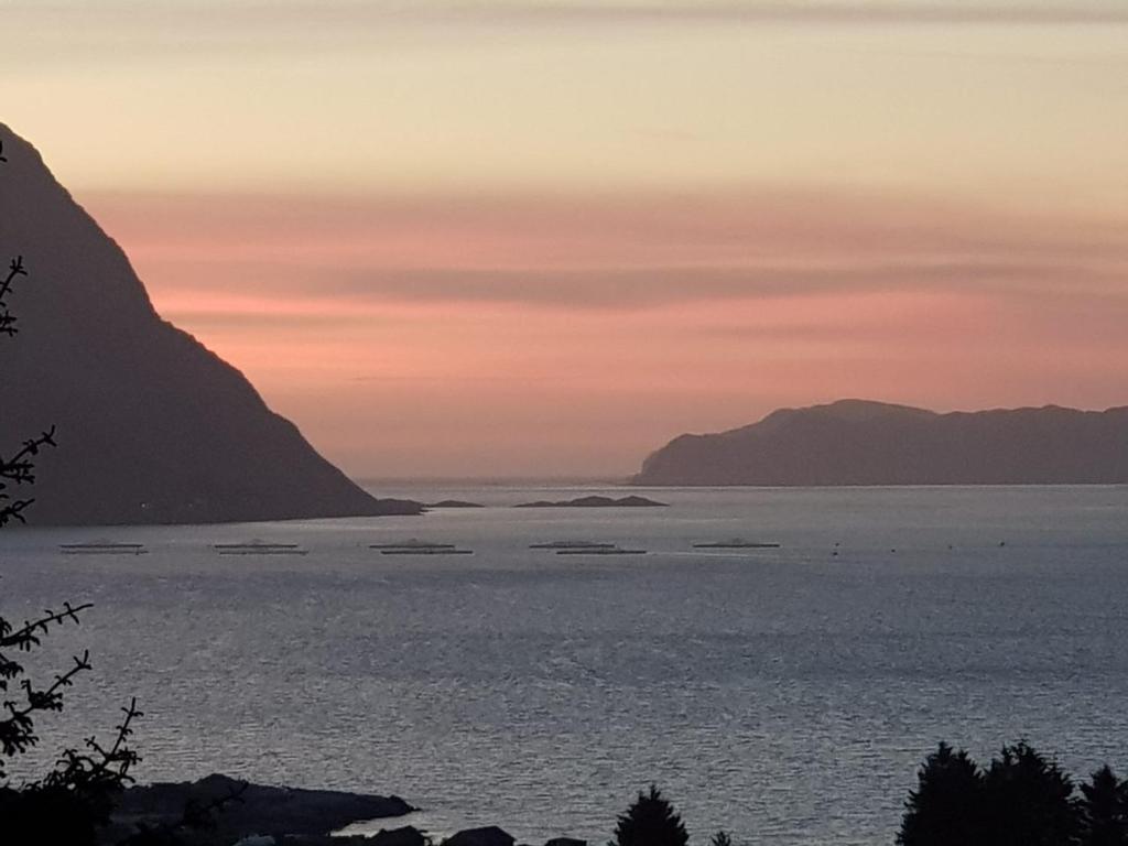 Koselig hus med fantastisk utsikt, Stadlandet